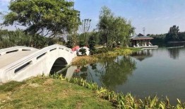 北湖公园吃瓜事件视频,一场引发热议的公共行为争议