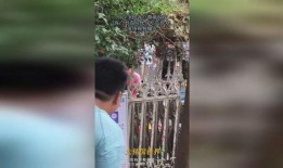 摔脸的吃瓜视频大全集,盘点全网热门搞笑视频合集