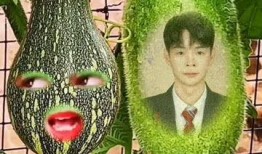 吃瓜小兔特效怎么弄的视频,吃瓜小兔特效制作全攻略