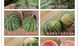 吃瓜视频风景线在线观看,在线领略风景线魅力