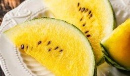 各路网红吃瓜事件视频大全