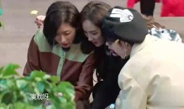 爱乐之程吃瓜视频大全集,瓜田李下，揭秘娱乐圈幕后风云