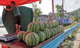 沂水吃瓜网红事件视频最新,揭秘背后真相与网络暴力