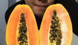 小毛瓜怎么吃美食视频,创意烹饪视频教你轻松享美味