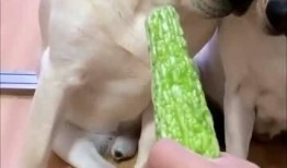 小迷吃瓜视频在线播放,揭秘热门视频背后的精彩故事