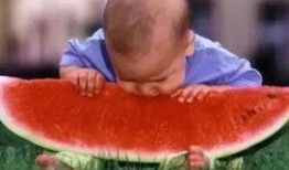 双象吃瓜视频大全,盘点全网热门搞笑视频合集