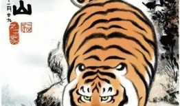 绘画胖虎吃瓜视频大全,趣味视频合集欢乐来袭