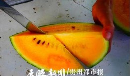 雪糕吃瓜视频,雪糕吃瓜，畅享欢乐时光