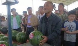 沛县吃瓜群众事件真相视频,真相与背后故事