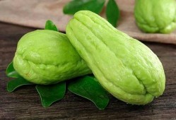 杨瓜长芽可以吃吗视频,杨瓜长芽安全食用指南