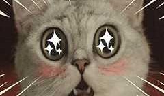 吃瓜视频飞天喵