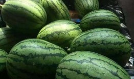 黄骅金鼎18号吃瓜视频,揭秘幕后真相