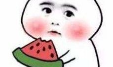 吃瓜不如看书视频,视频带你领略知识的力量