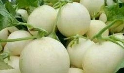 几月吃白梨瓜最好吃呢视频,# 哪个月份的白梨瓜最鲜美？揭秘最佳食用时期