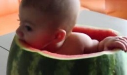 宝贝吃瓜视频,揭秘娱乐圈幕后故事