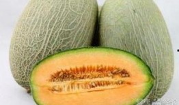 三大爷吃哈密瓜视频