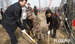 邯郸复兴区吃瓜事件视频,一场引发热议的网络视频风波