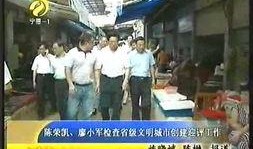 吃瓜视频宁德时代,揭秘全球动力电池巨头的崛起之路