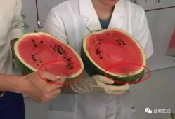 吃瓜打针视频,一场网络迷思的真相追踪