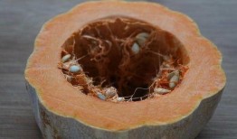 獭皮瓜怎样吃才好吃视频,视频教你如何烹饪出最佳口感