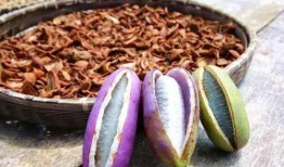 老汉吃八月瓜视频,一段乡村田园的甜蜜记忆