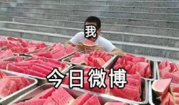 小杨哥的爸爸视频吃瓜,趣味横生引网友热议