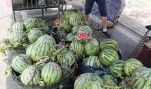 新泰泉沟吃瓜事件视频