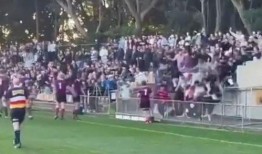 柳南体育园事件吃瓜视频,揭秘吃瓜视频背后的真相