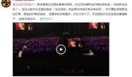 演唱会女粉丝吃瓜视频,女粉丝吃瓜视频引发热议，揭秘幕后故事