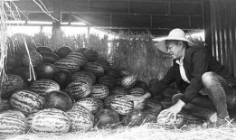 考古队吃瓜群众视频,揭秘古墓探险背后的趣味瞬间