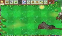 僵尸吃瓜视频大全,带你领略另类恐怖盛宴