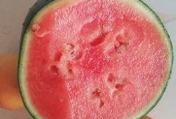 泡泡黄钰杰吃瓜视频资源,吃瓜视频背后的故事与真相