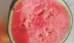 泡泡黄钰杰吃瓜视频资源,吃瓜视频背后的故事与真相