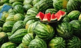 马林瓜吃几天见效果啊视频,揭秘几天见证神奇变化的秘密