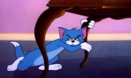 汤姆猫吃哈密瓜视频大全,哈密瓜盛宴视频大盘点