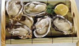 牡蛎瓜怎么吃最好呢视频,牡蛎瓜美味吃法大揭秘