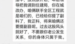 河南郭主任吃瓜事件视频,网络热议背后的真相与反思
