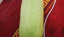 毛瓜如何快速切开吃视频,轻松享用美味毛瓜的秘诀