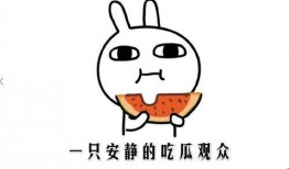 贵圈吃瓜攻略视频,跟随吃瓜攻略，解锁明星幕后故事