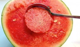 水晶瓜小孩免费吃原视频