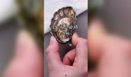 吃瓜姐妹社全集视频,揭秘娱乐圈背后的秘密与笑料