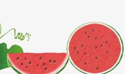 吃瓜背景视频下载免费版,轻松打造潮流短视频新潮流