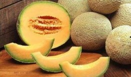 小宝宝吃哈密瓜的视频,小宝宝品尝哈密瓜的可爱瞬间