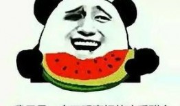 吃瓜群众不看视频,吃瓜群众视角下的幕后真相