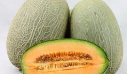 吃哈密瓜能瘦肚子吗视频,揭秘吃哈密瓜瘦肚子的神奇效果
