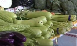 广西兴业吃瓜视频,一场吃瓜视频引发的全民热议