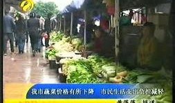 吃瓜视频宁德时代,揭秘全球动力电池巨头的崛起之路