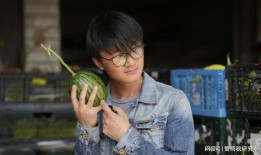 年轻人吃瓜新闻视频,新闻视频中的热点追踪与娱乐狂欢