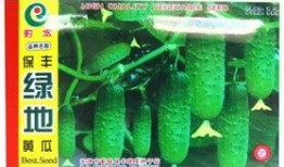 绿地吃瓜的视频,揭秘网红吃瓜背后的趣味与真相