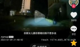 河南郭主任吃瓜事件视频,网络热议背后的真相与反思